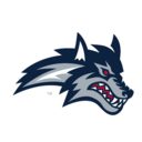 Stony Brook logo