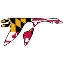 Washington College logo