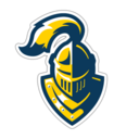 Neumann logo