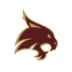 Texas St. logo