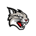 Davidson logo