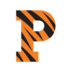 Princeton logo