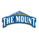 Mount St. Mary's logo