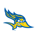 CSUB logo