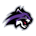 Wildcats logo