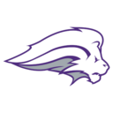 Lady Lions logo