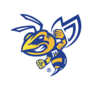 Hornets logo