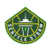 SEA Storm logo