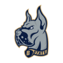 Blues logo