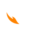 Tennessee Southern logo