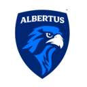 Falcons logo