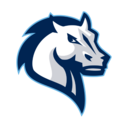 Mavericks logo