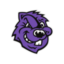 City College of New York logo