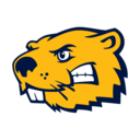 Buena Vista logo