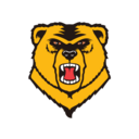 Western New England logo