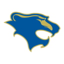 Lions logo