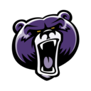 Bruins logo