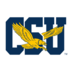 Coppin State logo