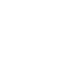 Lady Broncos logo