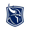 Vikings logo