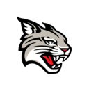 Davidson logo