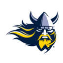 Vikings logo