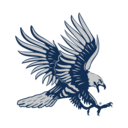 Dickinson State logo