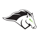 Mustangs logo