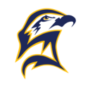 Seahawks logo