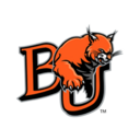 Wildcats logo
