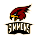 Falcons logo