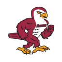 Falcons logo