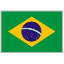 Brazil National Team logo