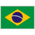 Brazil National Team logo