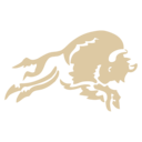 Bison logo