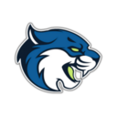 Bryant & Stratton (Albany) Bobcats logo