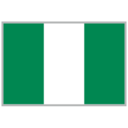 Nigeria National Team logo