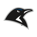 Penguins logo