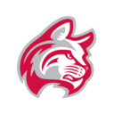 Wildcats logo
