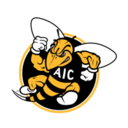 American International logo
