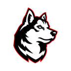 Northeastern logo