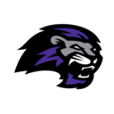 Paine logo