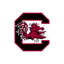 South Carolina logo