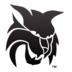 Central Wash logo