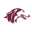 Southern Illinois logo