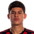 Matheus Rossetto headshot