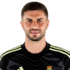 Horatiu Moldovan headshot