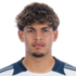 Adrián Pelayo headshot