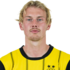 Julian Brandt headshot