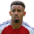 Gabriel Jesus headshot